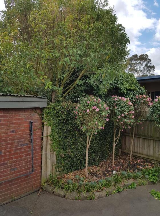 Creek Cottage Bed And Breakfast Traralgon Bagian luar foto