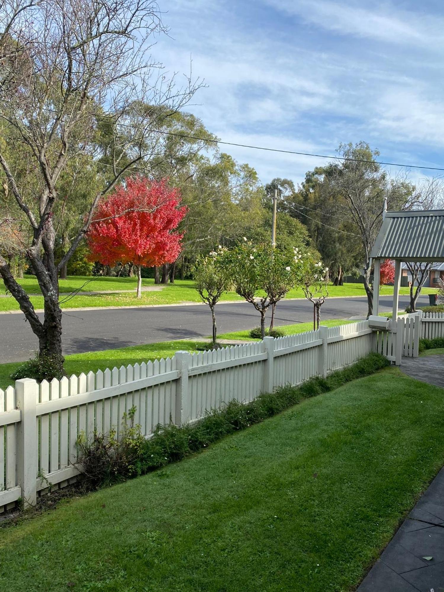 Creek Cottage Bed And Breakfast Traralgon Bagian luar foto
